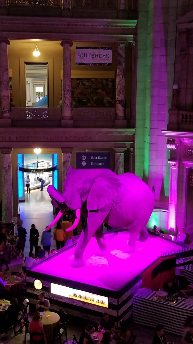 BNcura's tweet photo. #NCURAannual Enjoying a night at the museum https://t.co/uHYmKPYoVx