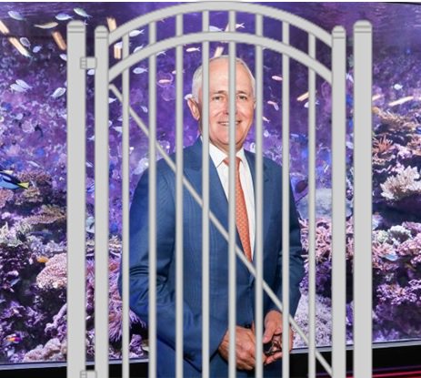 RandaltsRandal's tweet image. There is only one reason for the perpetual #REEFGATE SECRECY CLAUSE for fundraising activities. @TurnbullMalcolm does not want the plebs (that's all Aussies not in the wealth club) ever knowing about the profligate waste of taxpayer's money on Wealthcare for his mates. @auspol