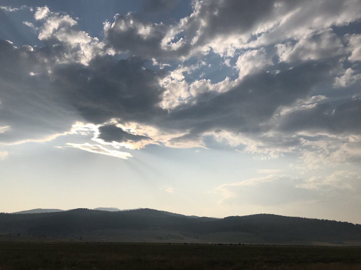 Josh Elliott tweet media