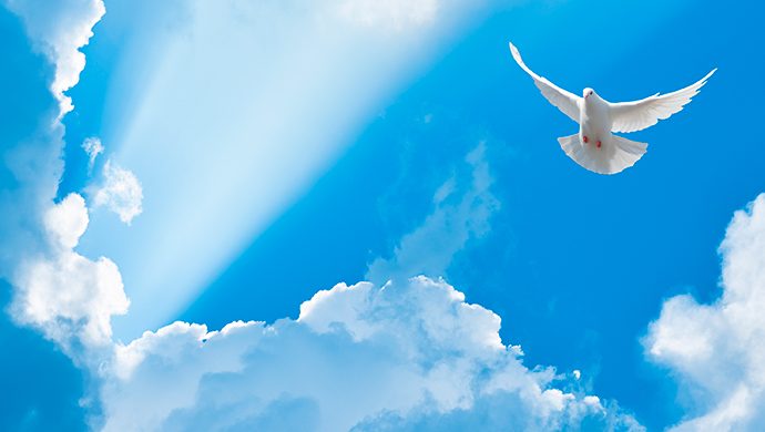 monitor20171's tweet image. 