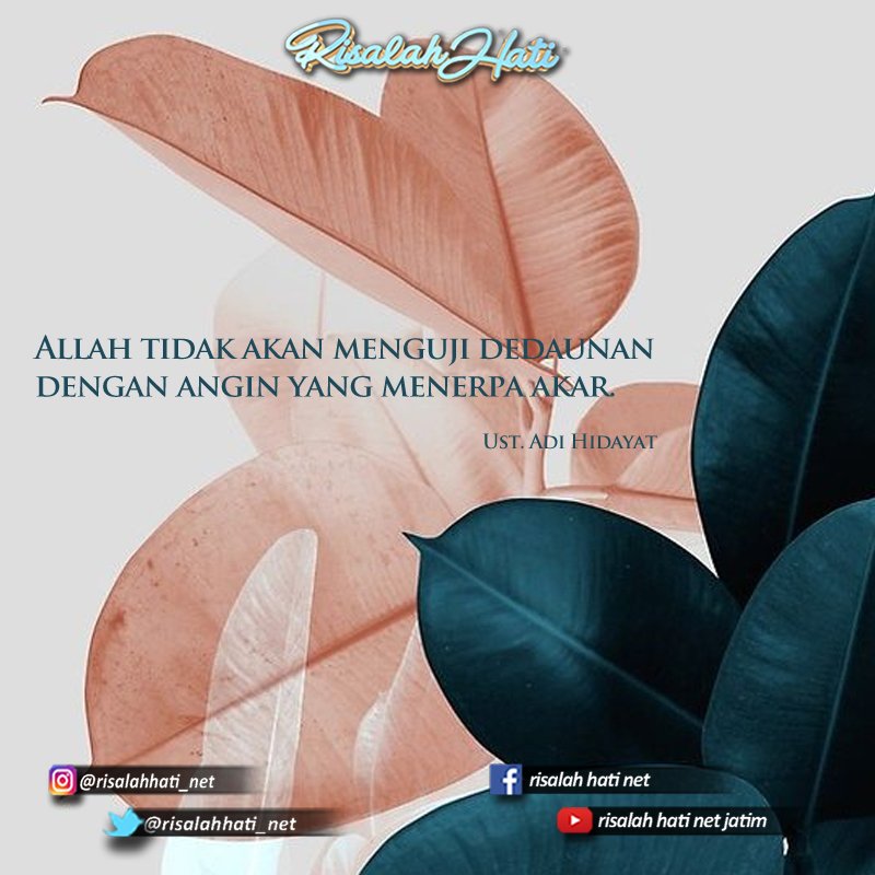 risalahhati_net's tweet photo. Maka tetaplah bersabar dalam segala ujian dari Allah dan jangan lupa untuk bersyukur. Semoga selalu diberi kelancaran oleh Allah SWT. Amin:)
#risalahhati #netjatim #quote #islamic #muslim #bersabar #bersyukur #seninsemangat https://t.co/JTDrYPBn1b