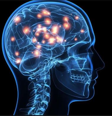 stemonfire.com/50-biology-and… A great podcast interview with PHD in Neuroscience (BS in Biology) know any high school students thinking of STEM? #highschoolstem #STEMeducation #womeninSTEM #neuroscience #biology #highschoolstudent #guidance #guidcancecounselor #stem @Neuro_Meg