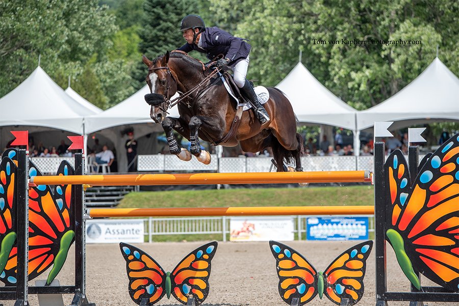 Bromont : Jonathan McCrea &amp; Aristoteles V volent vers la victoire lors du Grand Prix final / Jonathan McCrea &amp; Aristoteles V fly to victory - mailchi.mp/internationalb…