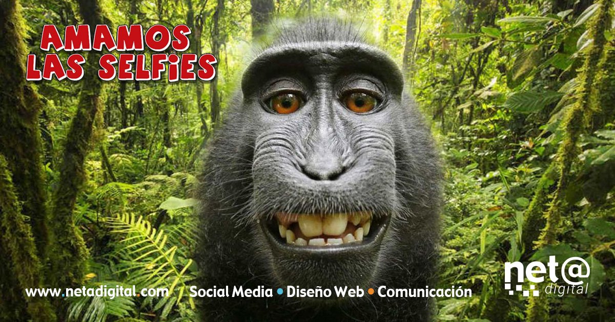 NetaDigitalMx's tweet photo. ¡Qué tengas un gran inicio de semana! #FelizLunes #DiseñoWeb #SocialMedia https://t.co/aBhO5aKSEB