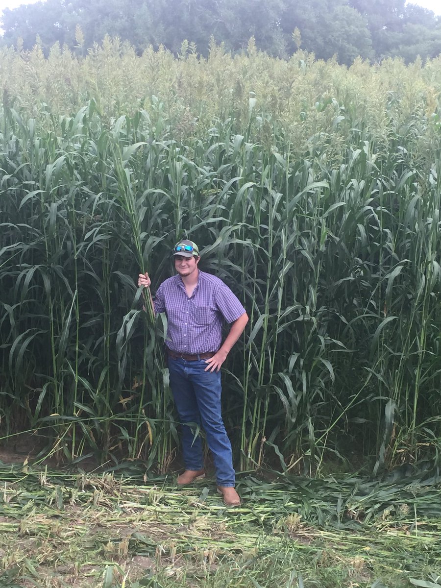 Vincentjones_70's tweet photo. Put in the time and effort and the results will show themselves. #managementiskey #farm365 https://t.co/wA6HgM1sBV