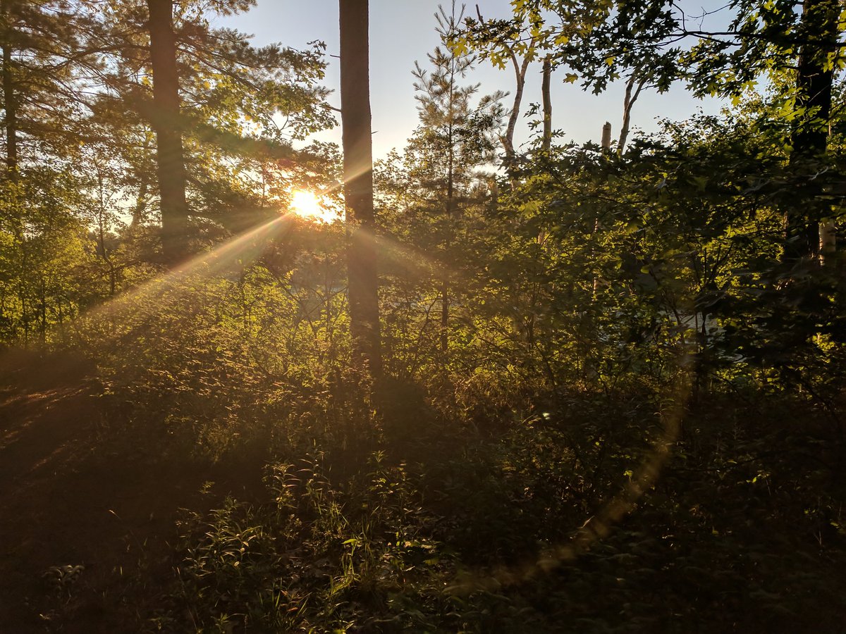 Outing myself as a closet-plogger today, a new eco-friendly trend emerging from Sweden inspiring us to pick up trash while we dash:

thebrentmillershow.tumblr.com/post/176655548…