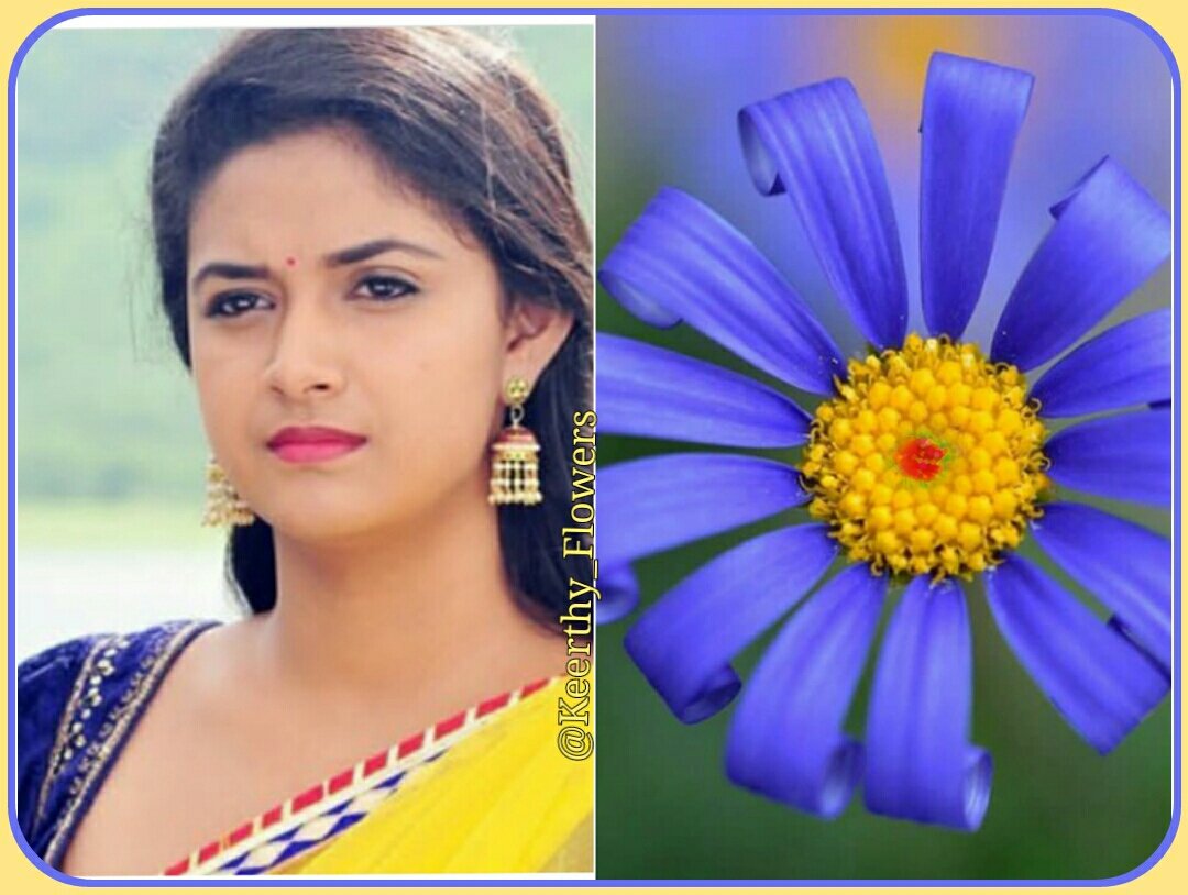 Blue & Yellow flower Queen @KeerthyOfficial 😍😍😘♥

Follow Us for Experience the beautiful world of #KeerthySuresh As Flowers🌸🌹🌷🌺🌼🌻

#KeerthyFlowers 🌺🌷🌸

#KeerthySuresh #keerthiSuresh #Mahanati #nadigaiyarthilagam #MakkalSelvi ❤