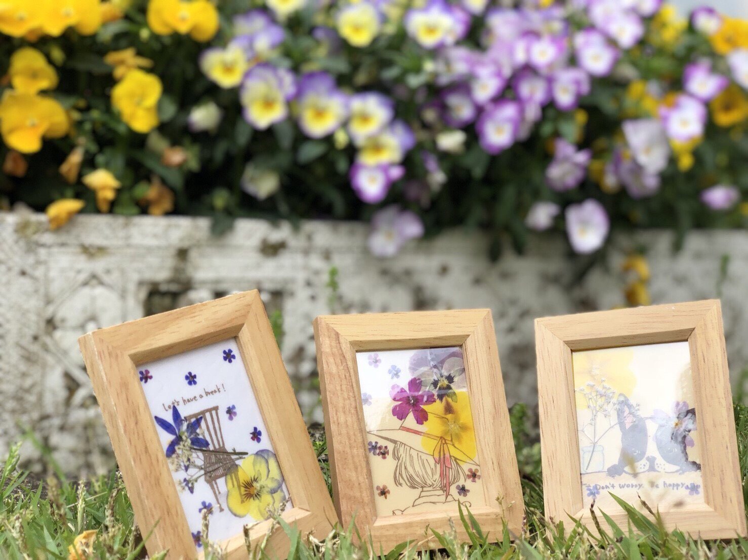工芸館よりお知らせ 工芸館にて期間限定 押し花フォトフレーム体験 を実施します 数十種類ある押し花を組み合わせてオリジ 18 08 06 福島市の公園 福島市 公園 遊び場 体験 イベント 屋外 四季の里 しきのさと 福島県北最大級ポータル