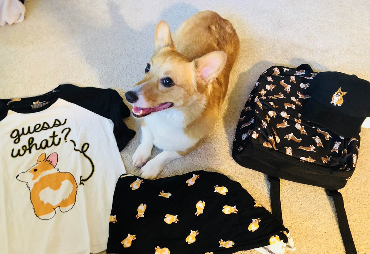 Jet_TheCorgi's tweet photo. I’m pretty sure @HotTopic is specifically trying to target my mum @_Aphmau_ ...can she get like a sponsor maybe? OR if not, can I get sponsored for some treats? Because real talk I’ll take bacon any day over getting my mum sponsored. 
(Love u mum but bacon is amazing) https://t.co/gP8I2CWMaW