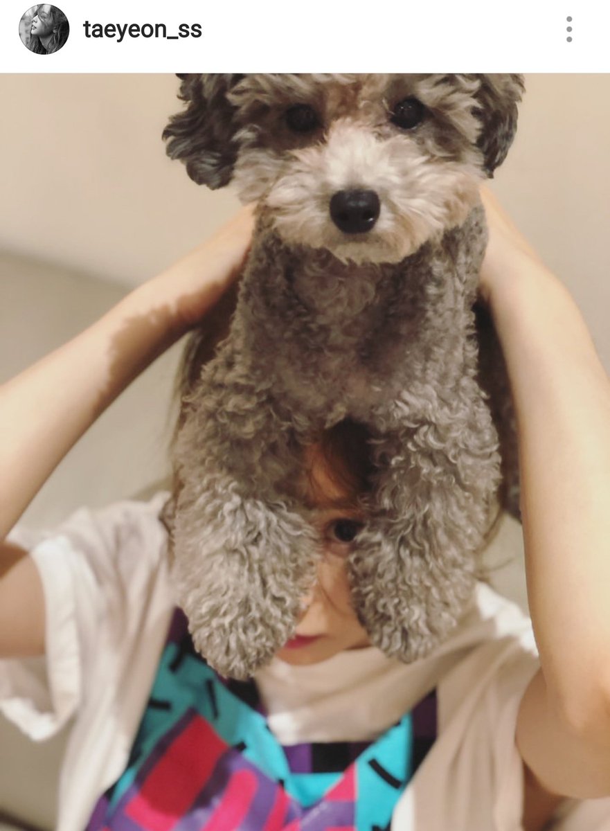 boom13003's tweet image. เพลง Page 0 นี่เป็น Station ของแทยอนนี่เอง เอาจริงพี่แทยอนโคตรขี้สปอยอะ เพราชื่อเพลงเพจซีโร่ เลยพาน้องโร่ไปตึกเอ้ดเอม ไปทำงานด้วยงี้ น่าร้าก 555555555555555555555