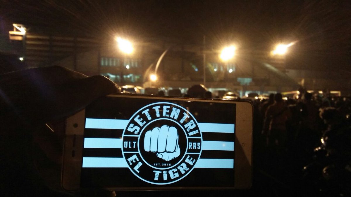 SETTENTRI EL TIGRE tweet media