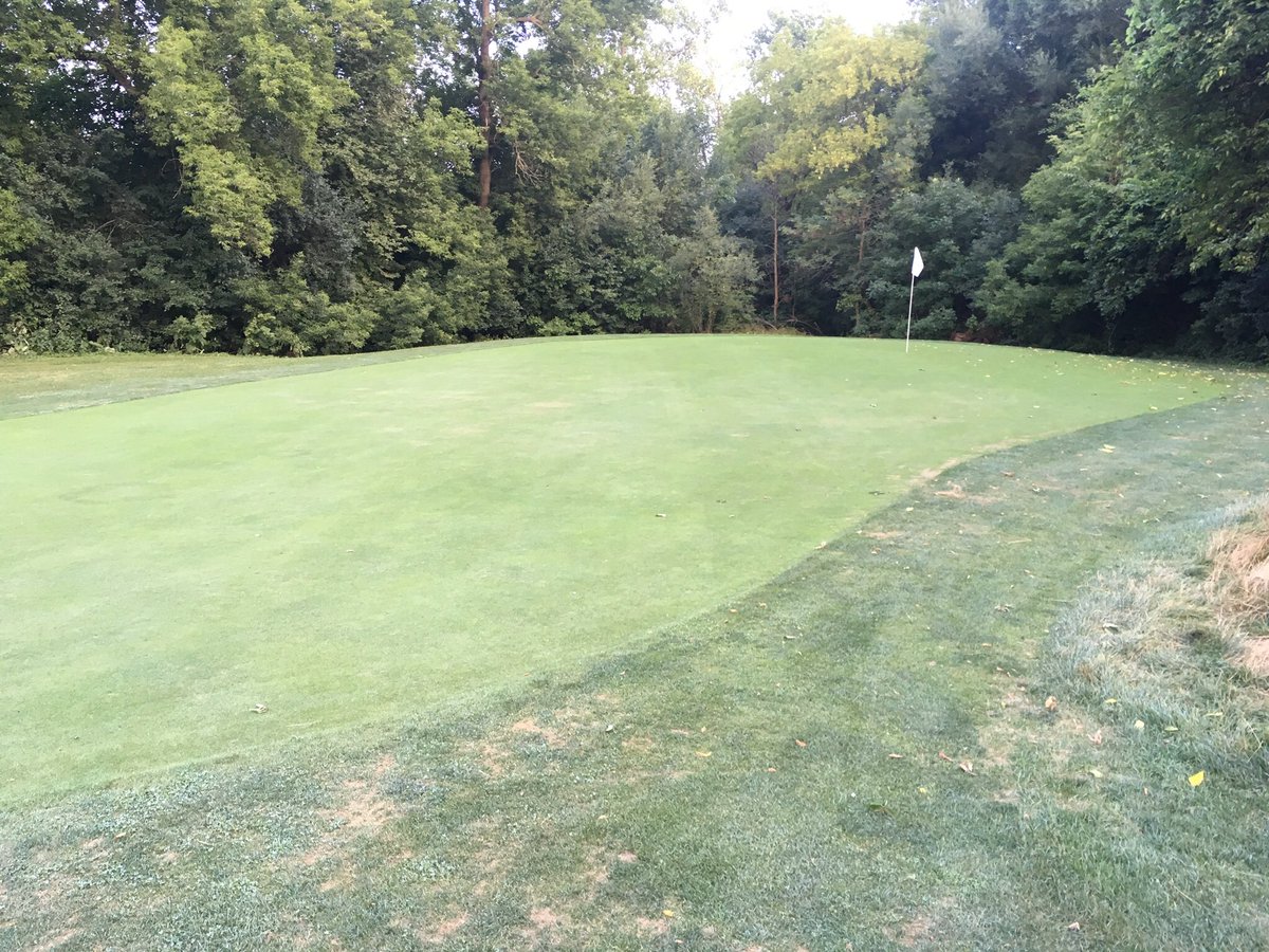 JoeytheKnows's tweet photo. And on the other end of the golf spectrum, we have Canal Shores. It’s main attributes are it’s incorporation into the community, as well as accessibility for mixed use. Way more people walking dogs than golfing. It makes you realize golf doesn’t always have to be fussy. https://t.co/6cQHgqVedv