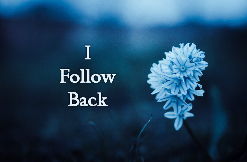 Moz_Capial's tweet photo. #MDrive LET'S GAIN 700+ Followers FAST🔥

RETWEET
RETWEET NOW

Follow every Retweet!! ♻️
Follow back all real quick..⏰

Turn my Notifications ON fast🔔
Let's grow all BIG today!👑

#BananaGainDrive 🍌
#GainWithJnShine https://t.co/yFlJulAq4q
