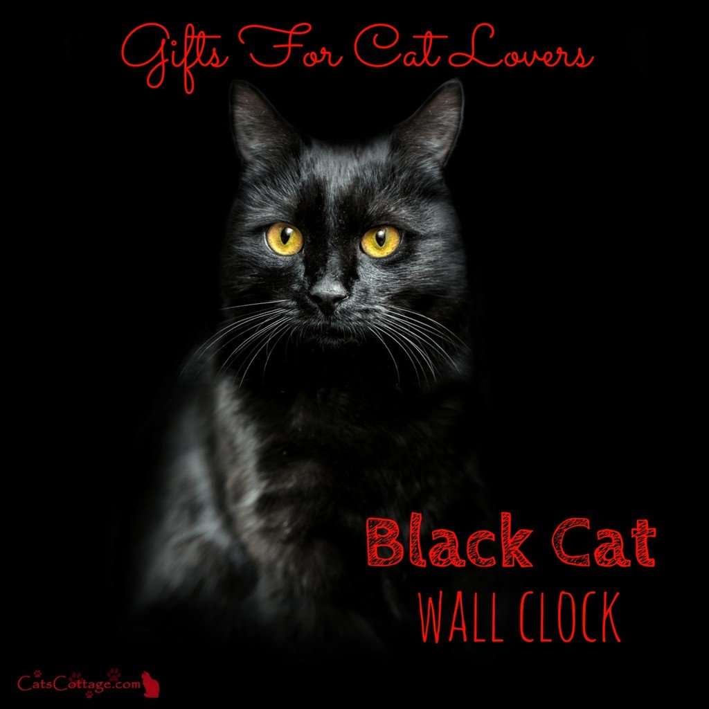 CatsCottagecom tweet picture
