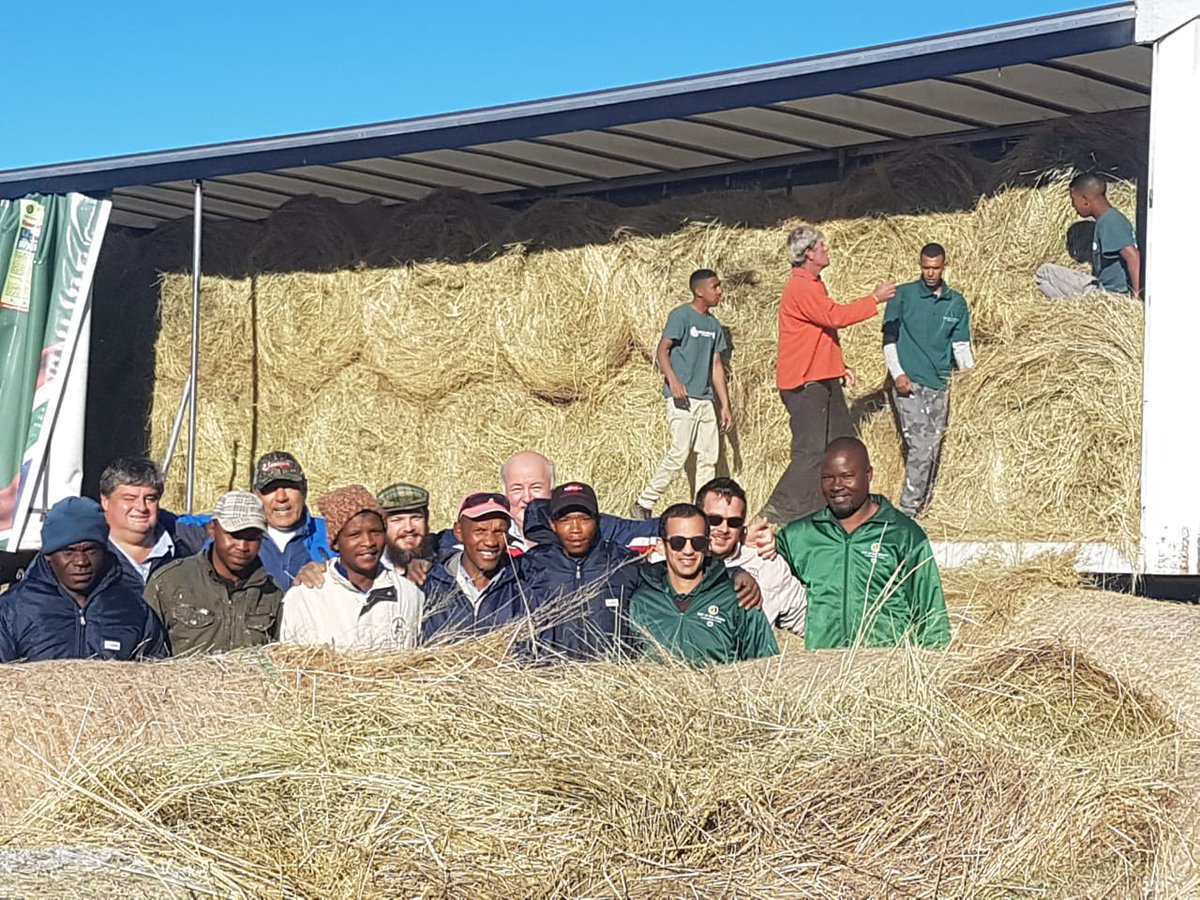 GiftoftheGivers's tweet photo. Patensie farmers received 1st load of fodder. The need for fodder increases day by day. #DroughtSA #GiftoftheGivers https://t.co/y7w3JokLmq