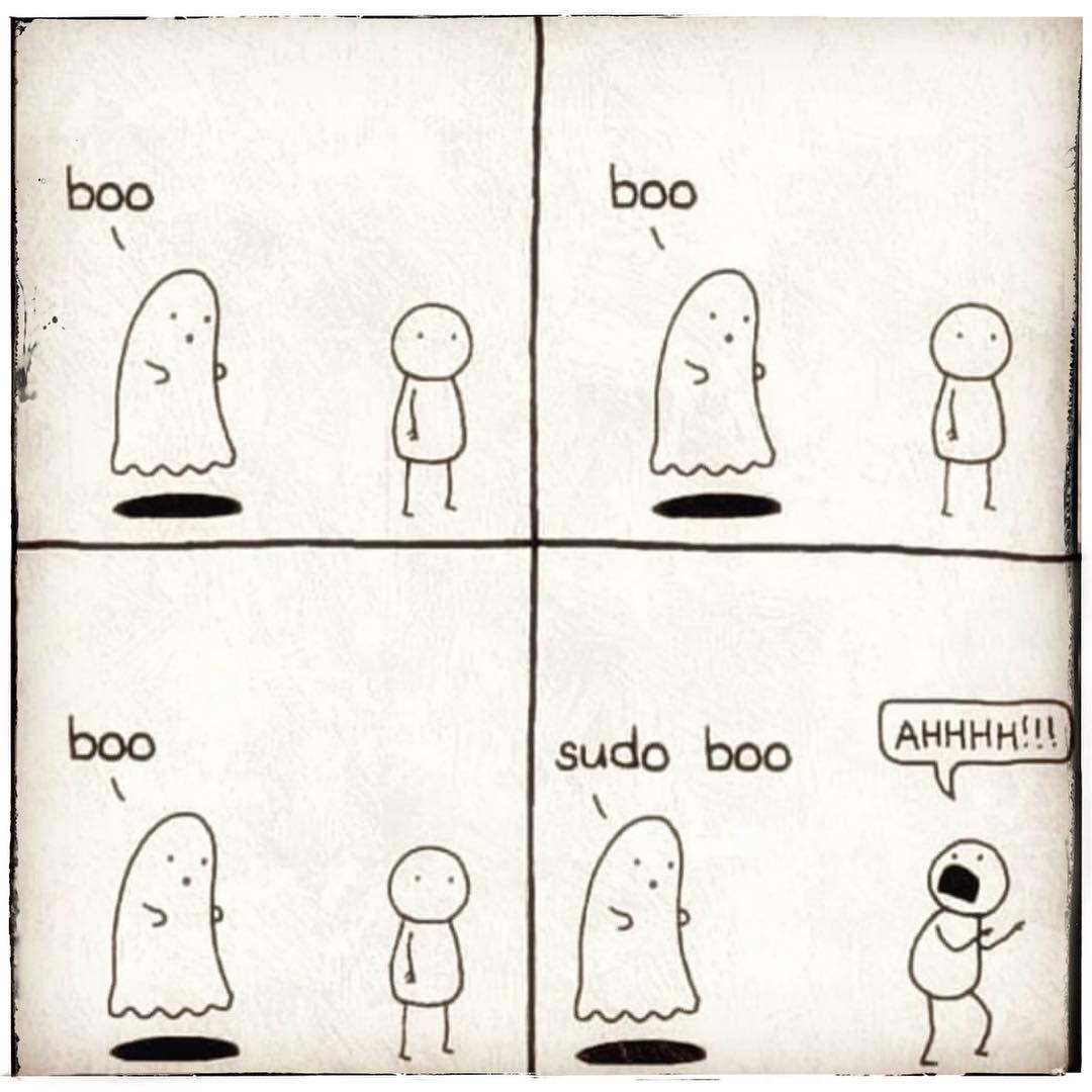 xonglcloud's tweet photo. Ghost Linux
#programming #css3 #css #programmer #y3tdisciple #flex #gym #bestisyettocome #igfit #fit #lean #Aesthetic #muscles #LIFT #leanmuscle #gains #gymswag #GymRat #PutinWork #Nutritiontiming #NPC #ifbb #classicphysique #Mensphysique #bodybuilding https://t.co/8YUBlr4K2k