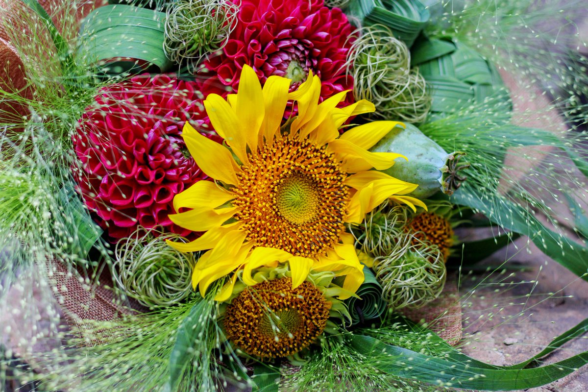 FlowersStyle's tweet image. Знойное лето в "Цветочном стиле" - яркие подсолнухи и сочные георгины
🌻🌿☀

#флористика #цветочнаякомпозиция #букет #цветочныйстиль #харьков #цветы #декор #followme #шедевр #необычныйбукет #стильныйбукет #аксессуарыизцветов