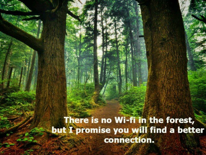 OutdoorSmarter's tweet photo. Yes https://t.co/DrNcyFJApI