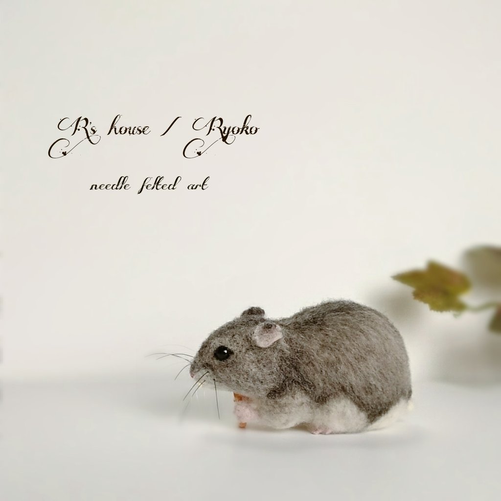 🍀✨🐹8🐹6🐹✨🍀 #ハムスターの日 #ハムの日 #ハムスター #Hamster