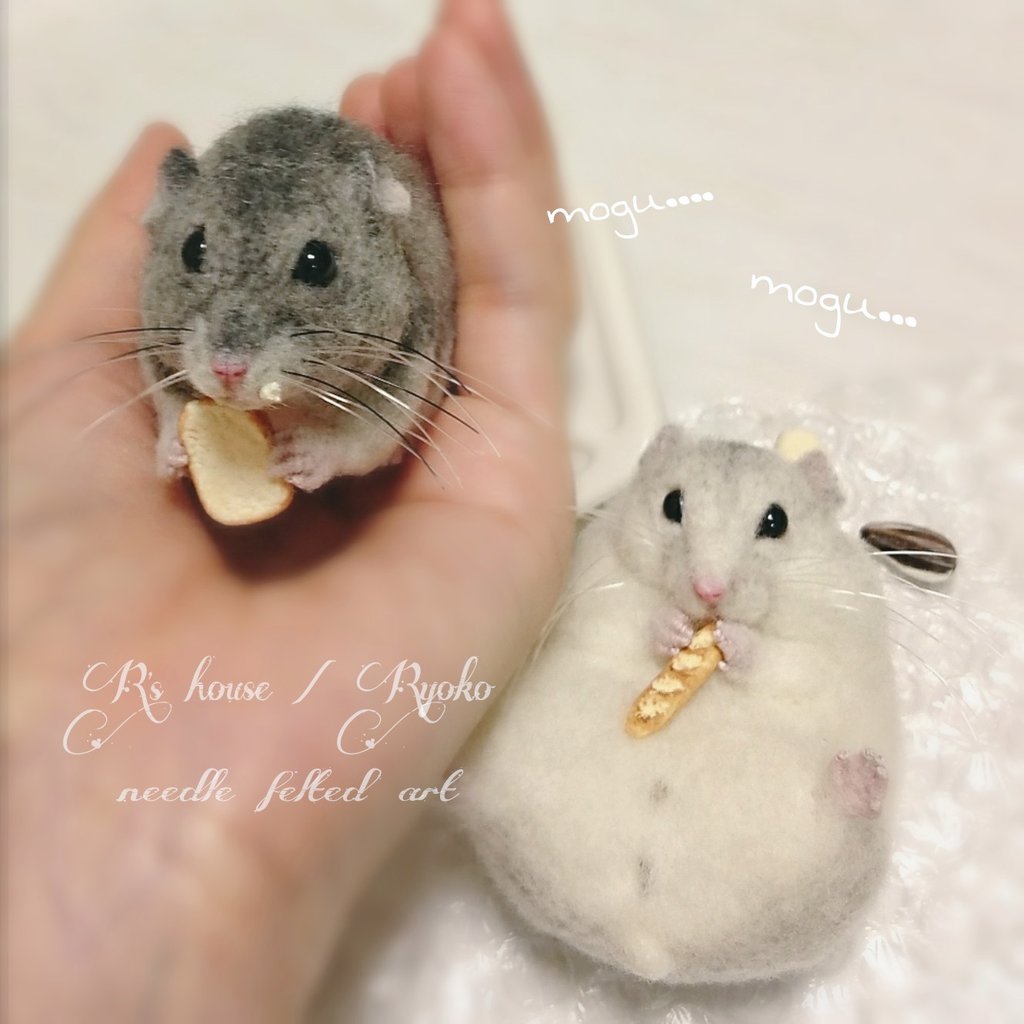 🍀✨🐹8🐹6🐹✨🍀 #ハムスターの日 #ハムの日 #ハムスター #Hamster