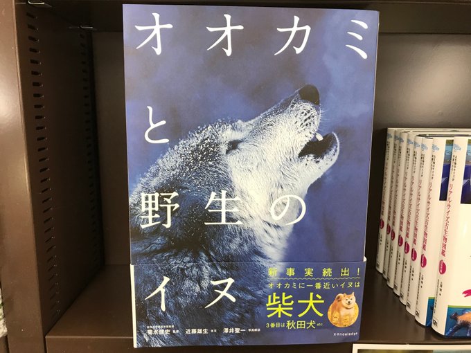 オオカミと野生のイヌのtwitterイラスト検索結果