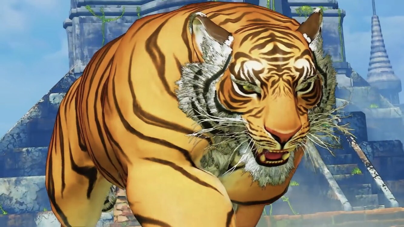 人気新品 ♥Tiger様♥ - アルバム