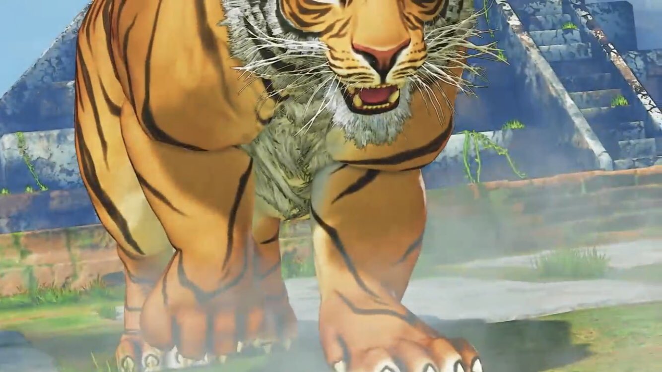 人気新品 ♥Tiger様♥ - アルバム