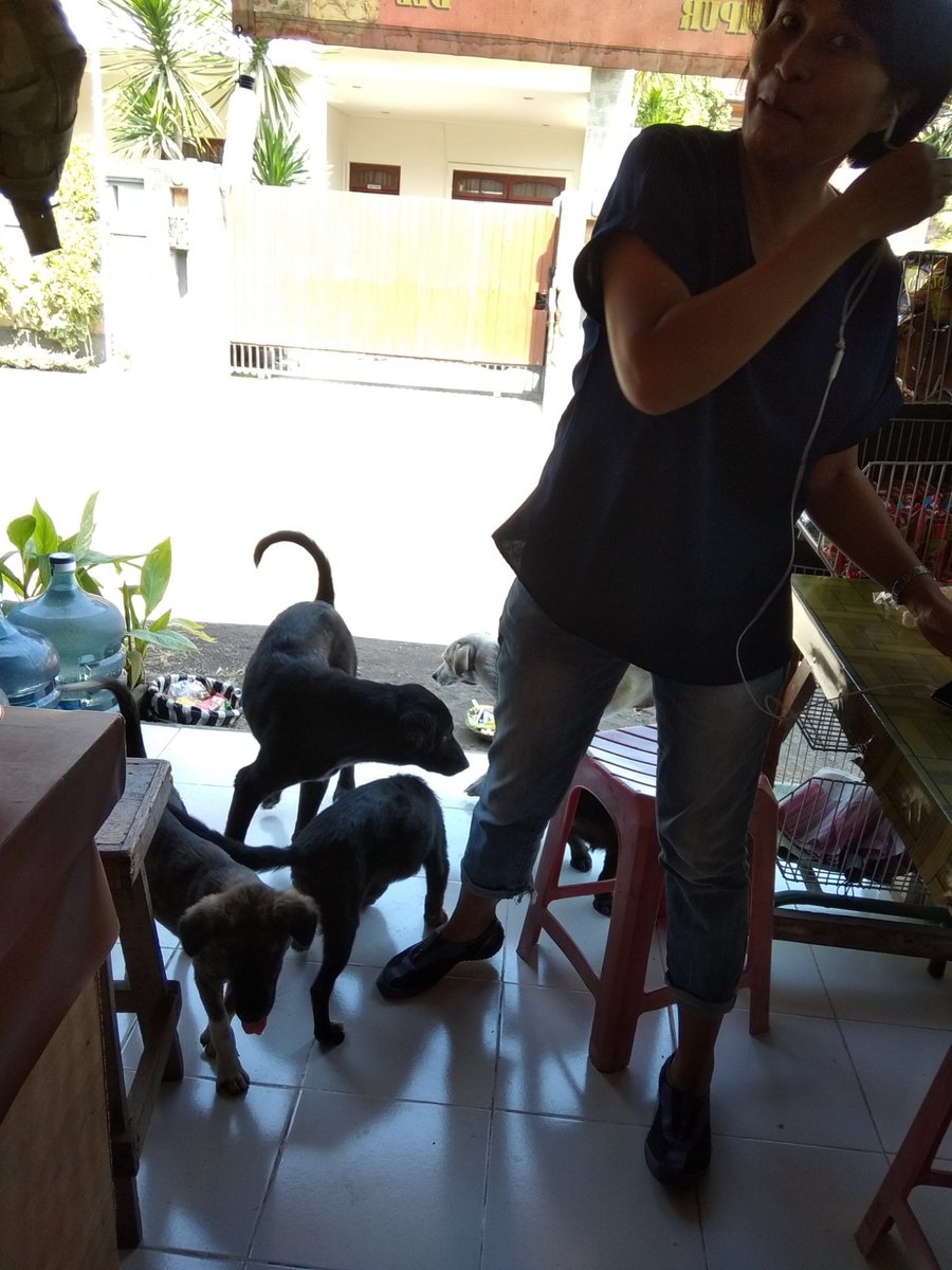 Swe3t_Java81's tweet image. Entah magic apa yg dipake neh orang ....anjing perumahan pada ngikut semua 😿😹🐕🐶