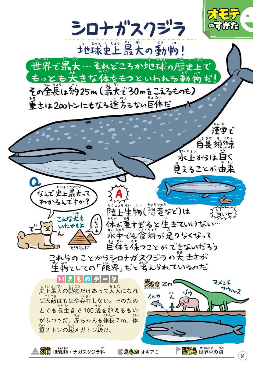Twitter 上的 ぬまがさワタリ ゆかいないきもの超図鑑 ３ ８発売 シロナガスクジラの図解も見開きで載ってる ぬまがさワタリのゆかいないきもの 図鑑 好評発売中でございます Kindle版もまさかの99円大セール中なので気軽にゲットしてタブレットやスマホとか