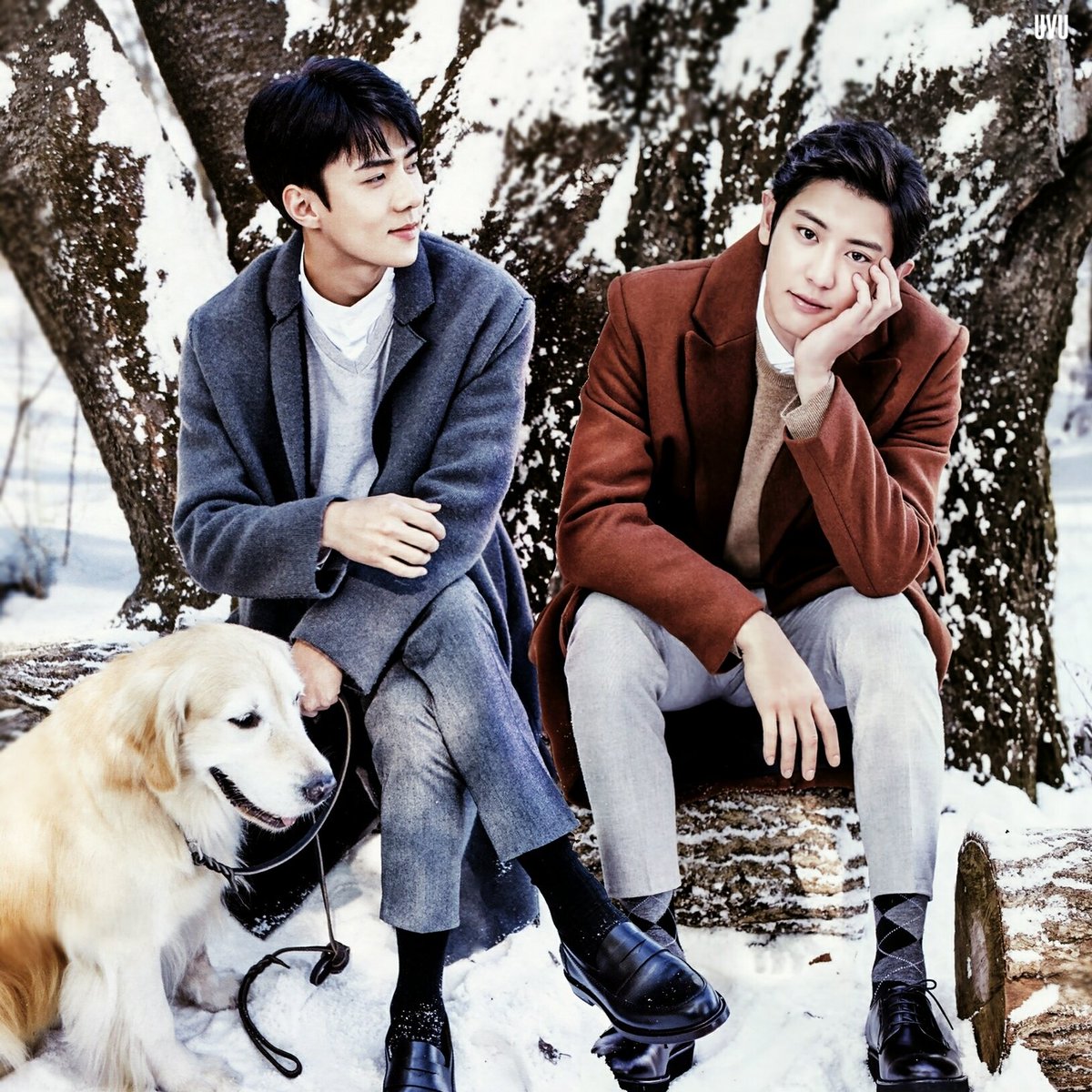 9124MPARK's tweet image. CHANYEOL + SEHUN 
#TBWORLD2018 #KPOP #SOUTHKOREA #100MostHandsomeFaces2018 #100FACES #CHANYEOL #SEHUN #EXO @weareoneEXO @tccandler