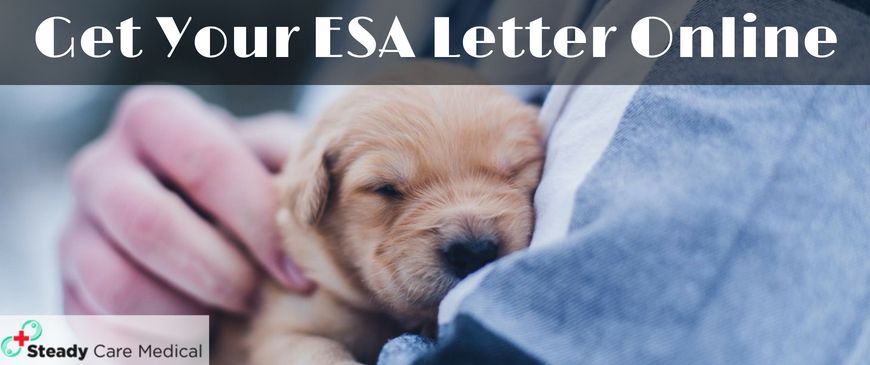 steadycaremedi's tweet photo. Which animals qualify as Emotional Support Animal? Read this blog, for more detail- https://t.co/bCDGvQmbTX
#ESAletter #ESA #esasummer18 #EmotionalSupportAnimal https://t.co/gHE7jgBqq8