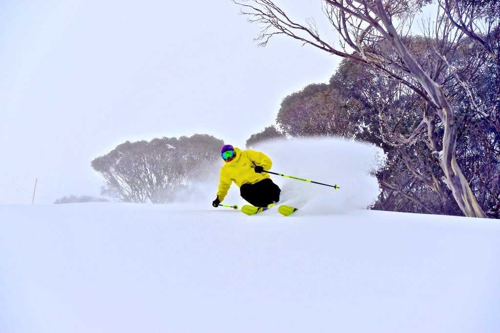 _hotham tweet picture
