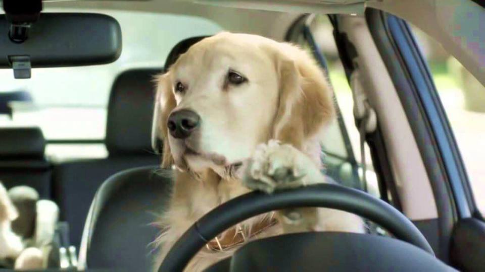 Dj5ZPTFXsAAxNXU.jpg:large