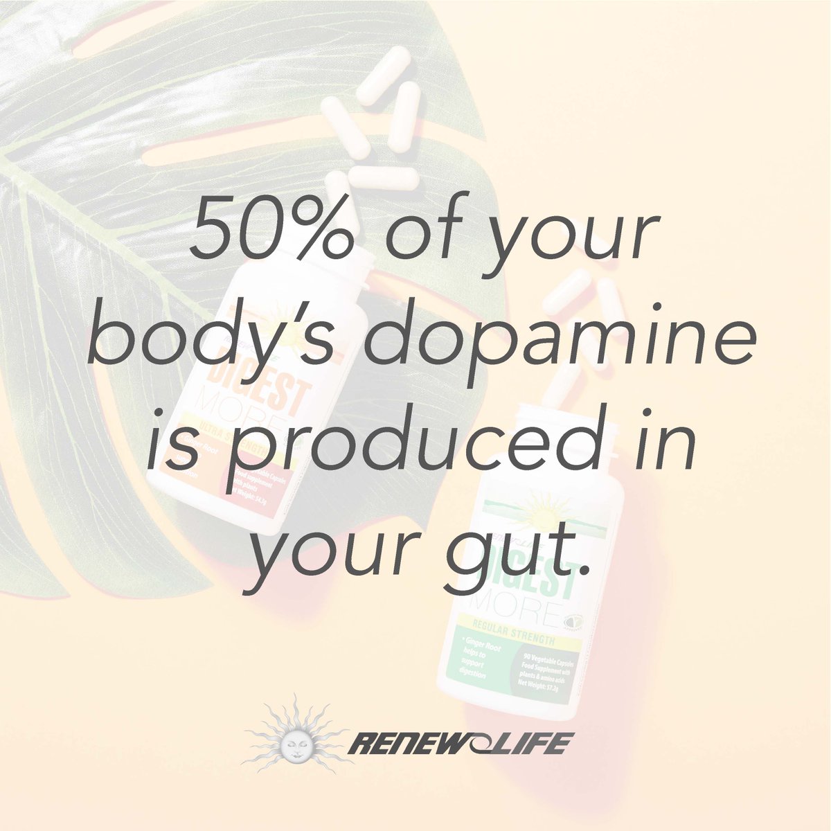 UKRenewLife's tweet photo. Did you know that 50% of your body’s dopamine is produced in your gut? 
A lot of the information the gut sends to the brain affects well-being, so keep your gut happy! 
#RenewLife #guthealth #gutfacts #naturalsupplements https://t.co/niIO3Z29r6