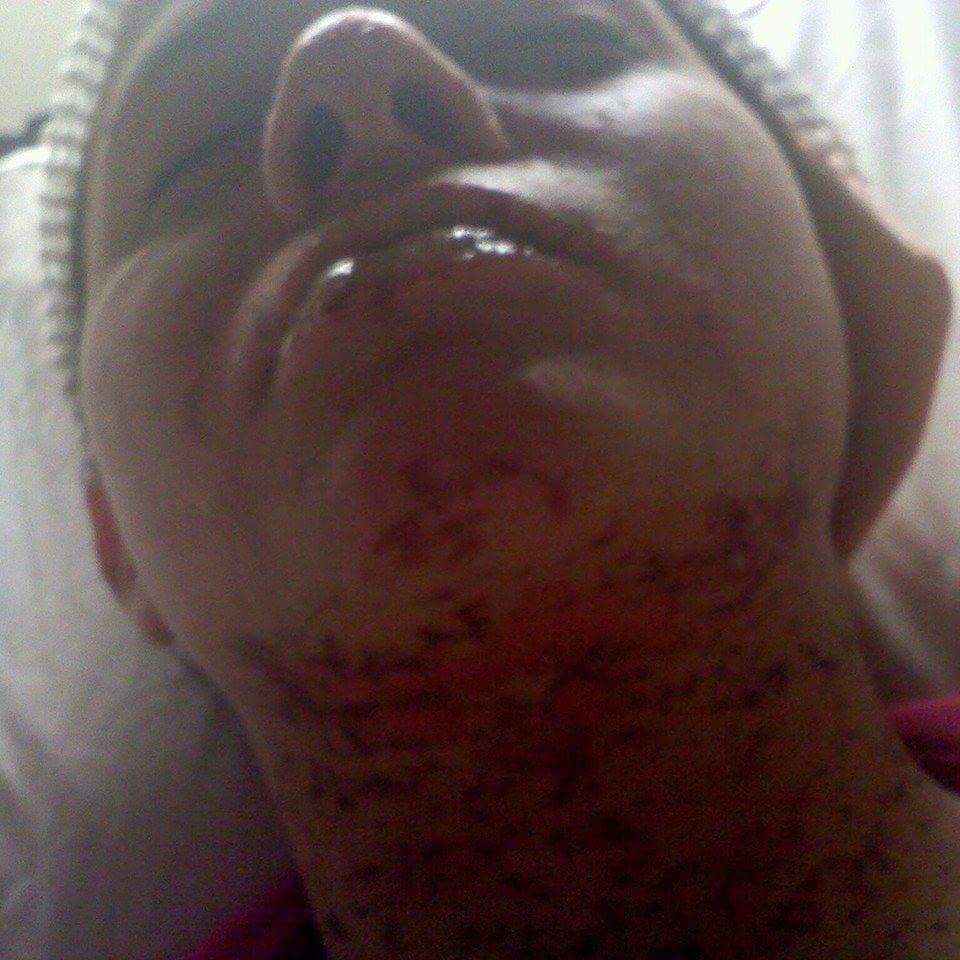 TheEverydayFIt1's tweet photo. Every day I suffer because of this condition,  I wouldn't wish it upon anyone.i go ti sleep in fear, wake up in fear, live in fear. I suffer Ptsd and anxiety and depression.  I smiled day even though I wish I never survived.  Its never easy.  I hurt everyday. 
@ellendegenerus https://t.co/QEDXUCZgP0