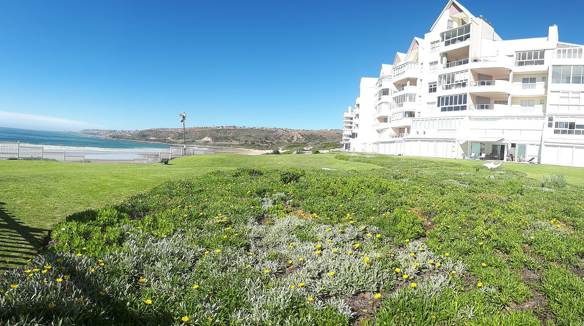 diaz_prop's tweet photo. DIAZ BEACH IS THE PLACE TO BE!  We have lovely apartments and houses for Sale!  Give me a call for more information!   #Monday#Propertiesforsale#Beachlife#invest https://t.co/yrxGhwmqEL