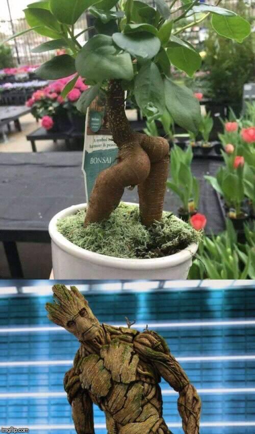 devsynann's tweet image. 