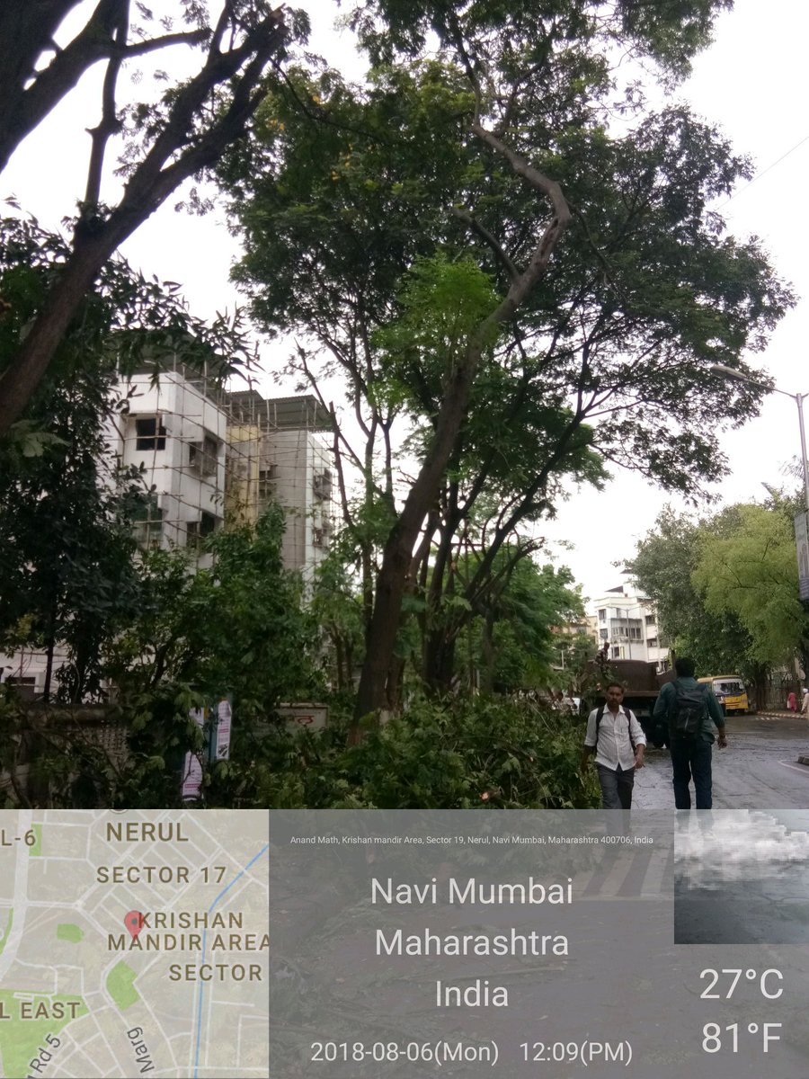 AratiHoney's tweet photo. Chopping going on @NMMConline #Tree_Authority #Ramaswamy ji- no garden dept Officer to supervise. All branches chopped. only top remaining. This is not d way to #prun. All weight on top. Won't thy lean? @AnarjitC Neither outsourcing going to help if not trimed systematically https://t.co/6W8tP16YrS