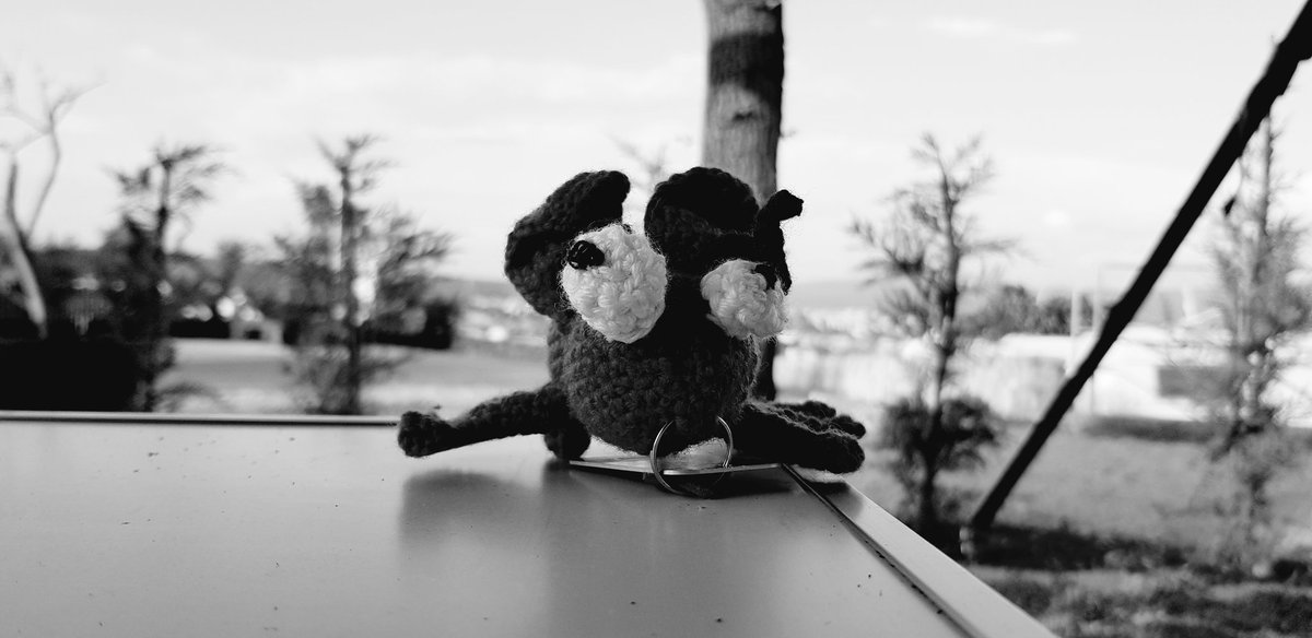 mogroach's tweet photo. Day 2 - My Life In 7 Black &amp; White Photos. No humans, No Explanation. Challenged by @Spurenwechsler
I challenge @TeddybearMickey https://t.co/FoGvXTBtKY