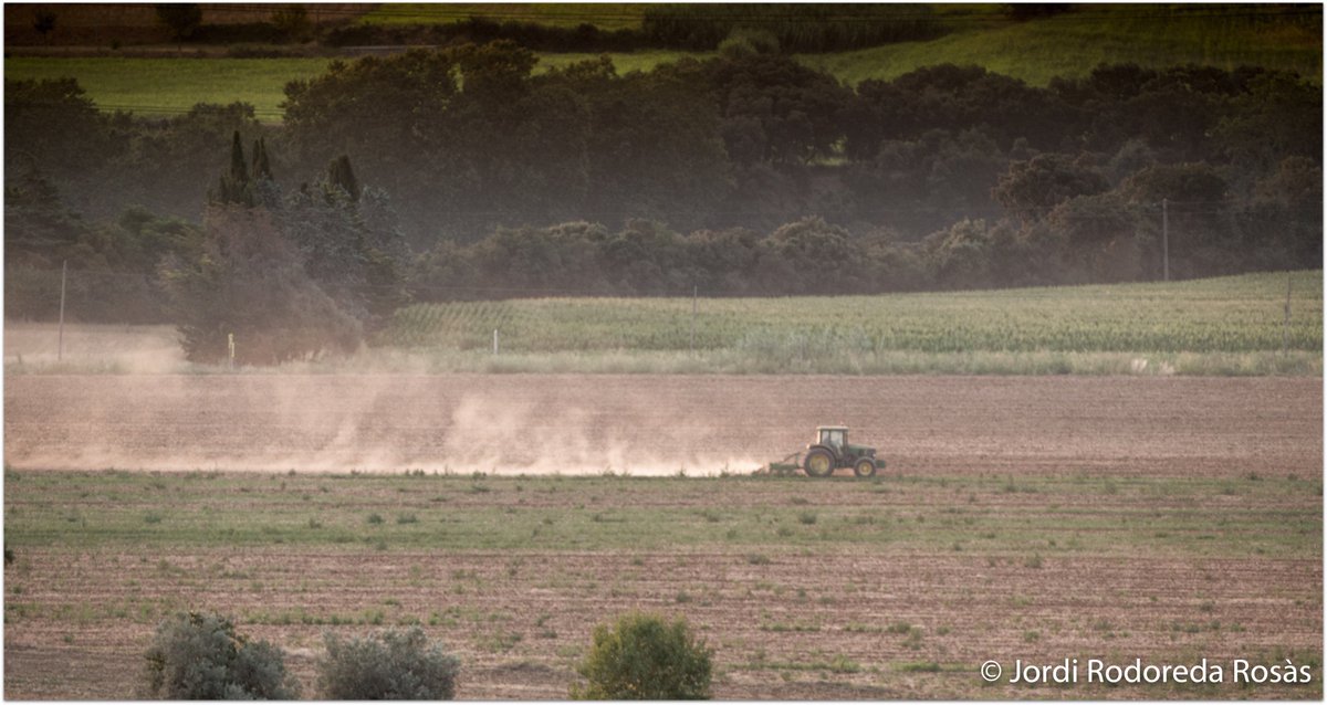 jordirodoreda3's tweet image. Per Marata, matí 6 d'agost.