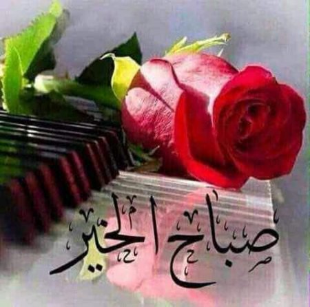 <a href="/H1b1A68MB8L3cdO/">تبارك الساعدي</a>