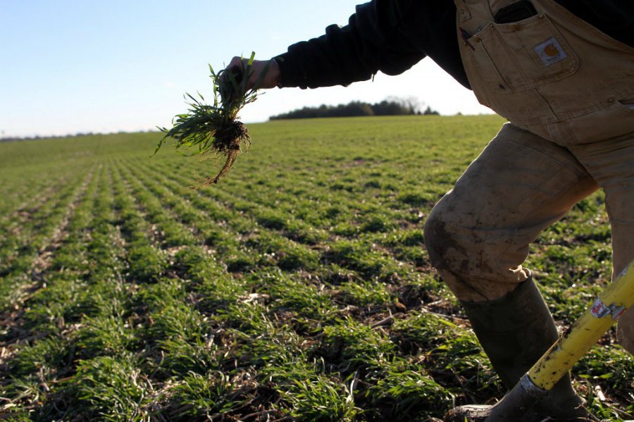 #MondayMotivation: The farmer gets his hands dirty because he sees gold in the tilling of the soil for food production.
#Agribusiness #Farmers #Farming #Soil