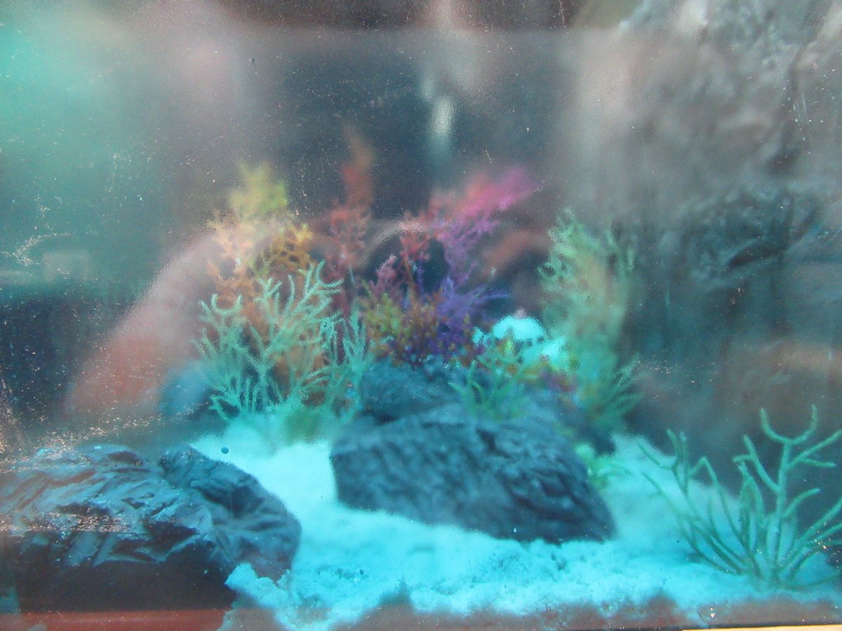 The Gundam Base ガンダムベース東京のスタッフも絶賛自由研究中です 夏らしさとストーリー性のあるジオラマも完成までもう少し 早く皆様にお披露目できるよう鋭意製作中です プチカプルのこの後も気になります Gundambasetokyo