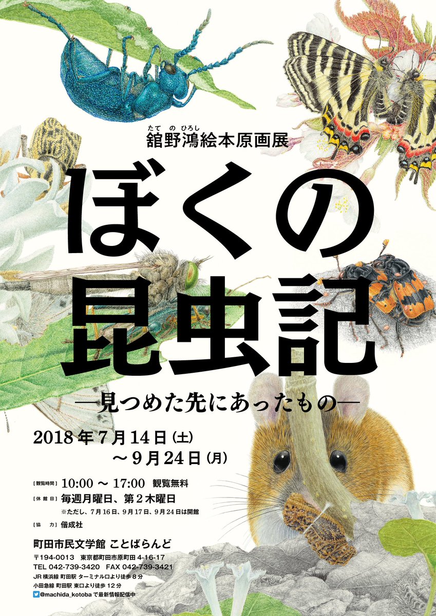 町田市民文学館 ことばらんど 町田市公式 明日 7日から舘野鴻絵本原画展で開催中の 昆虫クイズ の問題 が新しくなります 展覧会を観ながらクイズに答えるとオリジナルシールをプレゼントします ぜひ ご参加ください 舘野鴻絵本原画展 ぼくの 町田市民文学館 ことばらんど 町田市公式 明日 7日から舘野鴻絵本原画展で開催中の 昆虫クイズ の問題 が新しくなります 展覧会を観ながらクイズに答えるとオリジナルシールをプレゼントします ぜひ ご参加ください 舘野鴻絵本原画展 ぼくの