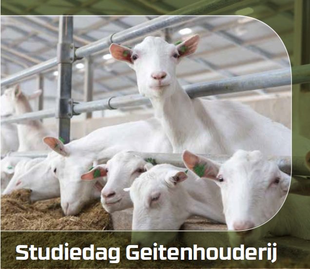 🐐 Dinsdag 21 augustus organiseert Voergroep Zuid een studiedag voor de geitenhouderij. Het programma van de studiedag zal bestaan uit verschillende interessante sprekers. Daarnaast wordt er een geitenbedrijf bezocht. Wil je meer weten? Lees hier verder➡️bit.ly/2vIP4N5