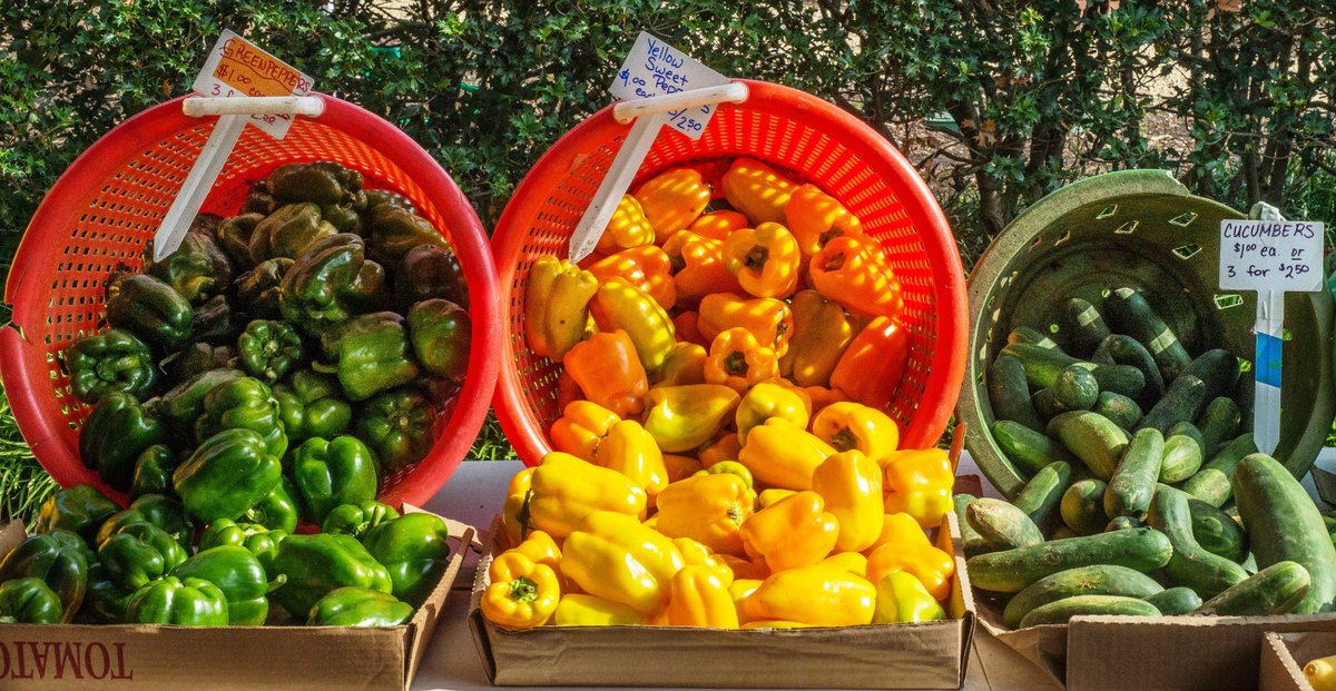 It's National #FarmersMarketWeek! Support your local farmer &amp; visit a market near you this week. Use the official Farmers Market locater to find a market in your area → go.usa.gov/xTcHF  🚜🌾