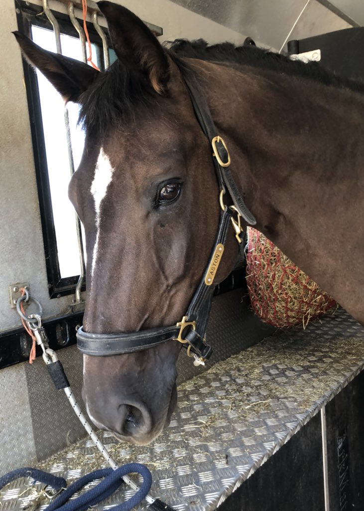 Bonnie Bartlett tweet media