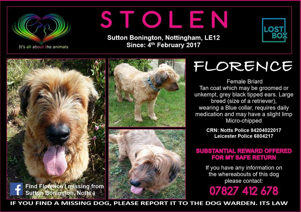 gelert01's tweet photo. !!TWEETSTORM FOR FLORENCE!! RT TO HELP FIND FLORENCE!! MISSING 04/02/2017 SUTTON BONINGTON NOTTS!!

‼️WEDNESDAY 08/08/2018  8 -9 TWEETSTORM FOR FLORENCE, YOUR SUPPORT WOULD BE VERY MUCH APPRECIATED‼️ https://t.co/TyVJ0RRHUX