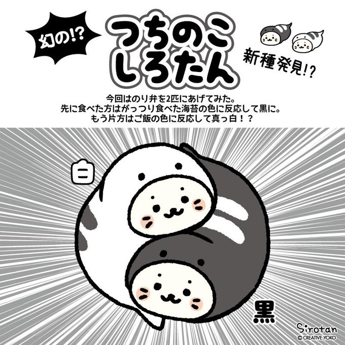 しろたん Sirotan Fun 18年08月 Twilog しろたん Sirotan Fun 18年08月 Twilog