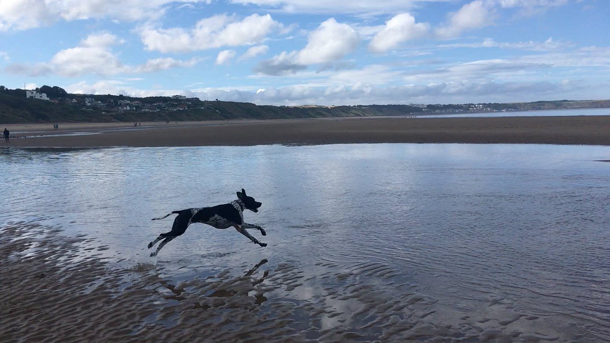 whittyfoxbeach tweet picture